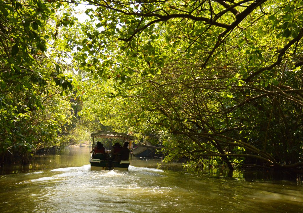 Backwaters